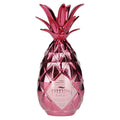 Piñaq ROSÉ Tropical Liqueur 17% Vol. 0,05l — Piscosaveur